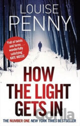 How the Light Gets In (Inspector Gamache 9)