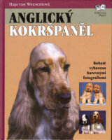 Anglický kokršpaněl