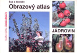 Obrazový atlas jádrovin
