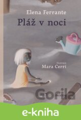 Pláž v noci