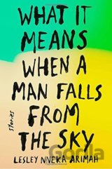 What It Means When a Man Falls from the Sky