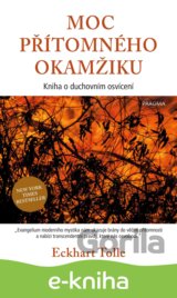 Moc přítomného okamžiku