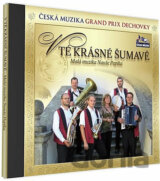 Malá muzika Nauše Pepíka: V tě krásné Šumavě