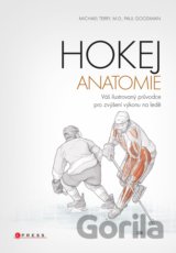 Hokej