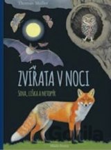 Zvířata v noci: Sova, Liška a Netopýr