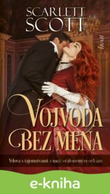 Vojvoda bez mena