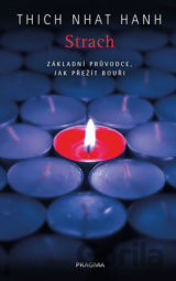 Strach. Základní průvodce, jak přežít bouři