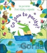 První otázky a odpovědi: Co jsou to pocity?