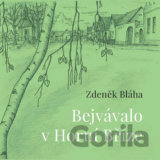 Bejvávalo v Horní Bříze