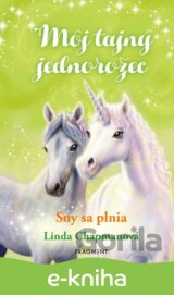 Môj tajný jednorožec 2: Sny sa plnia