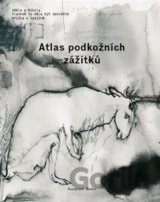 Atlas podkožních zážitků / K problematice viděného