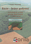 Bacín - brána podzemí