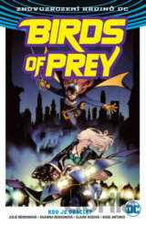 Birds of Prey 1: Kdo je Oracle?