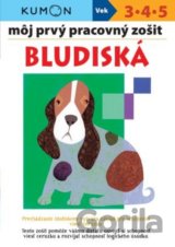 Môj prvý pracovný zošit: Bludiská