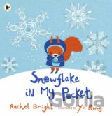 Snowflake in My Pocket