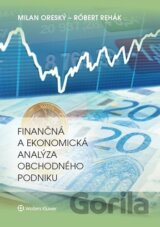 Finančná a ekonomická analýza obchodného podniku