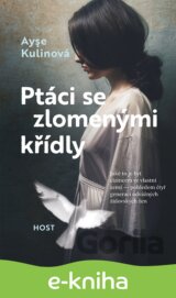 Ptáci se zlomenými křídly