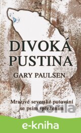Divoká pustina