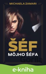 Šéf môjho šéfa