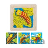 Puzzle: Vývoj motýľa