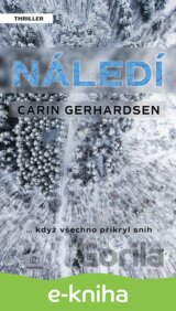 Náledí