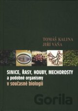 Sinice, řasy, houby, mechorosty a podobné organismy v současné biologii