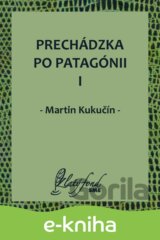 Prechádzka po Patagónii I