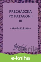 Prechádzka po Patagónii III