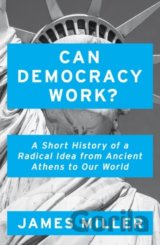 Can Democracy Work?