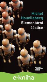 Elementární částice
