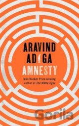 Amnesty
