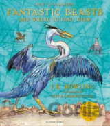 Fantastic Beasts and Where to Find Them: Illustrated Edition