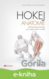 Hokej - anatomie