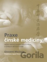 Praxe čínské medicíny
