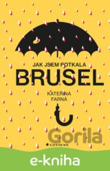 Jak jsem potkala Brusel