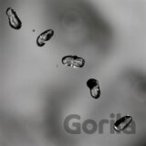 Peter Gabriel: Up LP