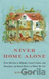 Never Home Alone