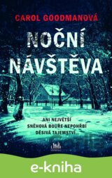 Noční návštěva