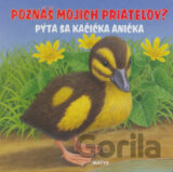 Pýta sa kačička Anička