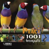 Ptáci - 1001 fotografií