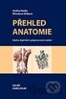 Přehled anatomie