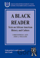 A Black Reader - Texts on African American History