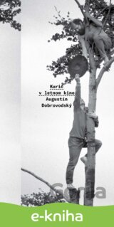 Kurič v letnom kine