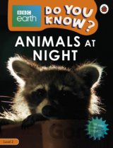 Animals at Night