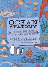 Ocean Anatomy