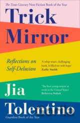 Trick Mirror
