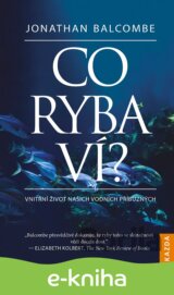 Co ryba ví?