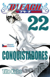 Bleach 22