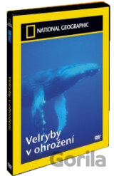 Veleryby v ohrození