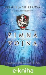 Zimná vojna